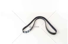 V-Ribbed Belt F2BE0681A - STRALIS/TRAKKER Iveco