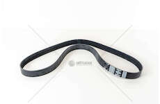 V-Ribbed Belt F4AE0484 - NEF/TECTOR Iveco