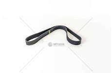 V-Ribbed Belt OM 541.920 - ACTROS Dayco