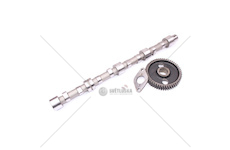 Vačkový hřídel úplný - 16V 19004509