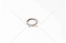 Valve Seat SEDE VALVOLA STD EX - F3BE0681 -CURSOR 13 Iveco