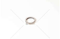 Valve Seat SEDE VALVOLA STD IN - F3BE0681 -CURSOR 13 Iveco