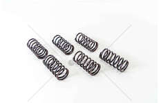 Valve Spring 8360.46 Mec-Diesel