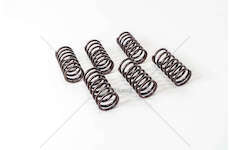 Valve Spring 8460.21/41 Mec-Diesel