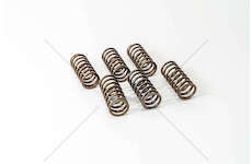 Valve Spring D 2066 Mec-Diesel