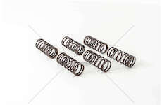 Valve Spring D 2530/2538/2540/2565/2566/284 0/2 - INT Mec-Diesel