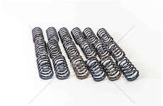 Valve Spring D 2865/D 2866 - ESTERNA - EX Mec-Diesel