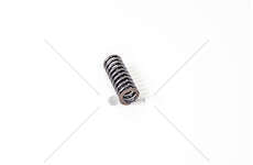Valve Spring F1A/F1C - DAILY 35C10/C15 - Iveco