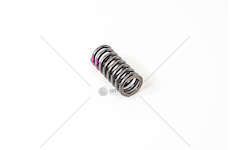 Valve Spring M/OM 900/902/904/906/924/926 EX Mec-Diesel