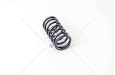 Valve Spring MOLLA (SING.)8210.02>42-190.26 > EUROTECH Mec-Diesel