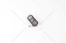 Valve Spring MOLLA VALVOLA EST. 616-625-645 /50 Mec-Diesel