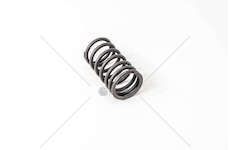 Valve Spring MOLLA VALVOLA EST.697/N-619/N1 (4624538) Iveco