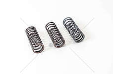 Valve Spring MOLLA VALVOLA INT.697/N-619/N1 (4624537) Mec-Diesel