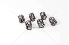 Valve Spring MOLLA VALVOLA PER TESTA VM Mec-Diesel