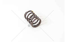 Valve Spring OM 401/402/441/442 - ESTERNO IN Mec-Diesel