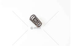 Valve Spring OM 611/612/646/647 EX Mec-Diesel