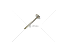 Ventil sací 69010555.CZ