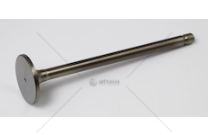 Ventil sací DAF XF 04.13- MX13 EURO6 44* PARADOWS PDAF031