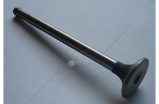 Ventil sací Multicar M22