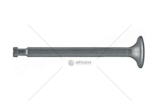 Ventil výfukový  Zetor 950506