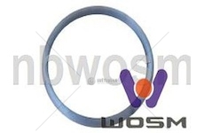 Vlozka, kladka brzdove celisti WOSIMAN C-242