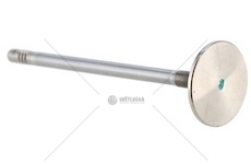 Výfukový ventil 504238928
