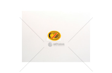 Výstražný štítek - ruka 16802046