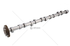 WALEK ROZRZADU MAN D0826LF BF 20100220663