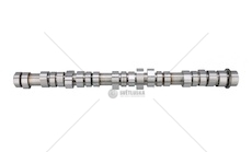 WALEK ROZRZADU RVI GAMA C/K/T 01.13- BF 20100411003