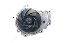 Water Pump D 0836 EURO 5/6 OMP