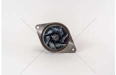 Water Pump F4BE0684B*D402 - CON PULEGGIA D.70 - Iveco