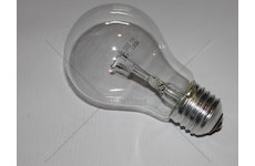 Žárovka 24V 100W 24/100