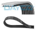 ozubený klínový řemen DAYCO 7PK1752HD